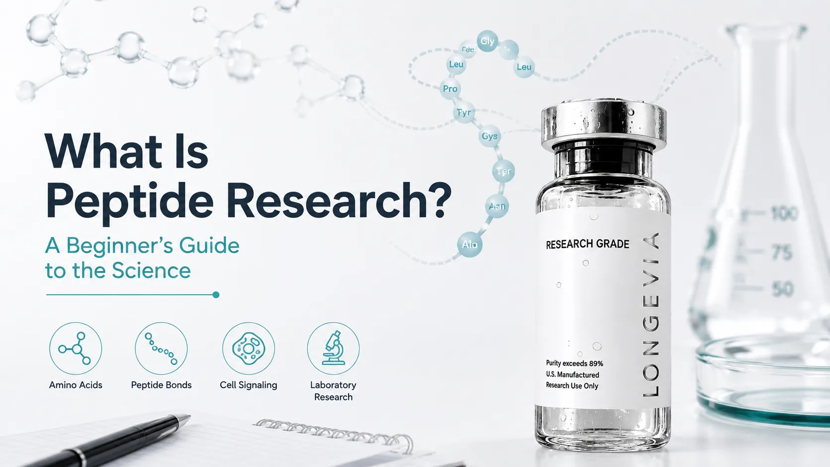 What Is Peptide Research? A Beginner's Guide to the Science